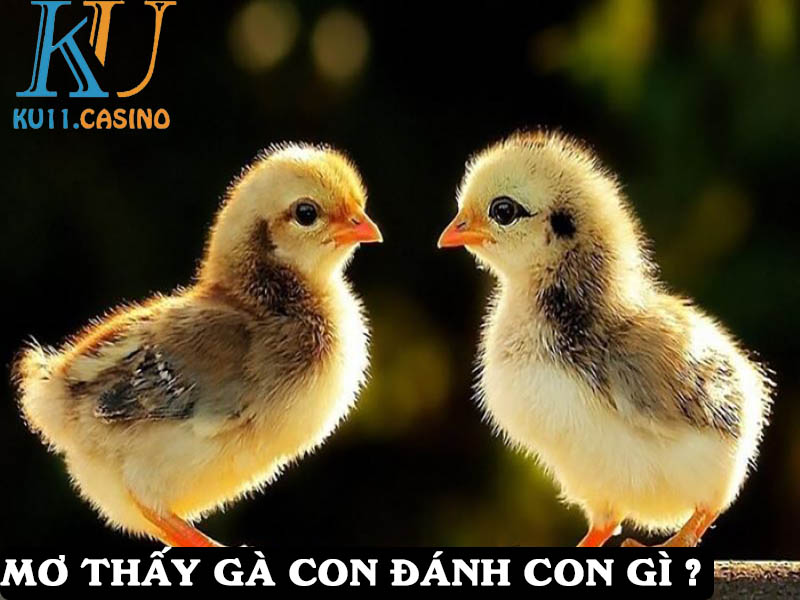 đánh con gì